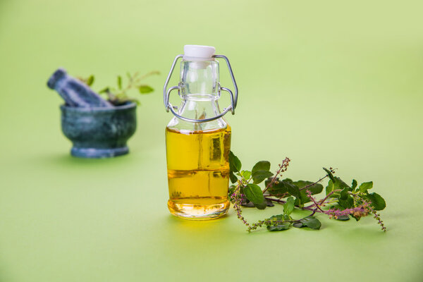 Tulsi oil or holy basil oil with Mortar and Pestle, tulsi or holy basil is a qeen of herb since ancient times in India in Ayurveda