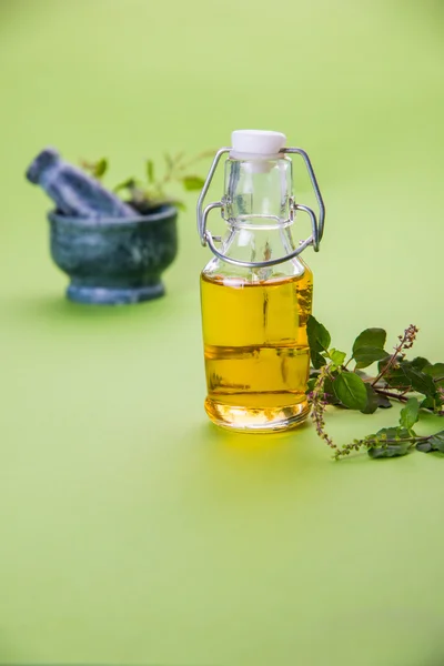 Tulsi olja eller helig basilikaolja med mortel och mortelstöt, tulsi eller helig basilika är en qeen av örten sedan urminnes tider i Indien i Ayurveda — Stockfoto