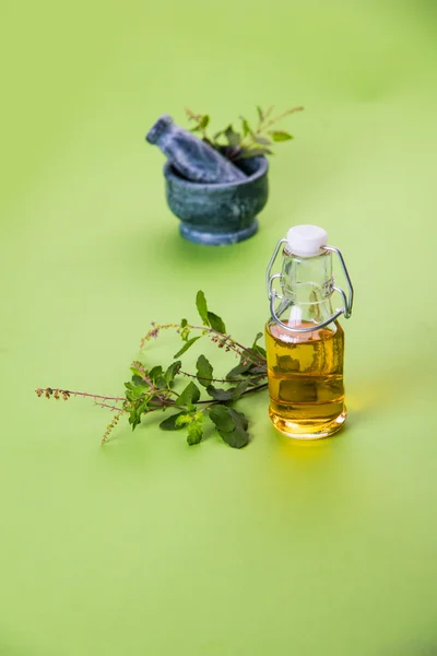 L'huile de Tulsi ou huile de basilic sacré au mortier et pilon, tulsi ou basilic sacré est une qeen d'herbe depuis les temps anciens en Inde en Ayurveda — Photo