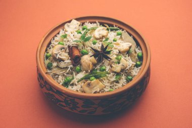 Lezzetli mantar veya mantarlı pilav veya Pulav veya Pilaf veya Pulao veya Biryani bir kase veya tabakta servis edilir, seçici bir odaklanma