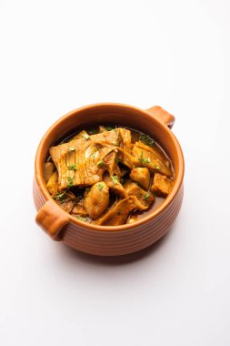 Jackfruit Masala sabji or Fanas Sabzi or Indian style spicy Kathal curry, served in a bowl or karahi. selective focus