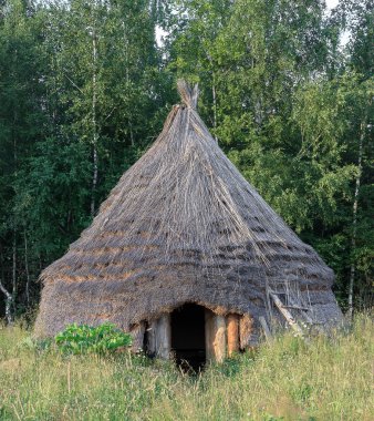 ormanda bir kulübe