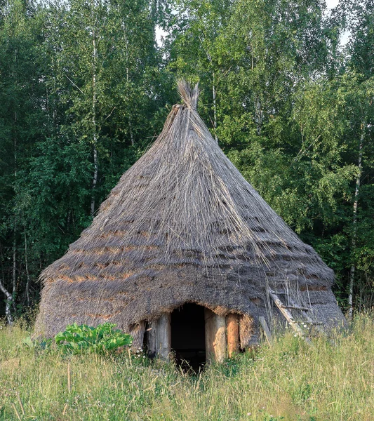 Hütte im Wald — Stockfoto