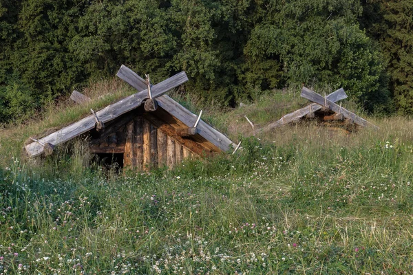 Sığınağın ormanda