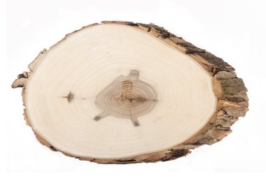 Ahşap dilim beyaz izole