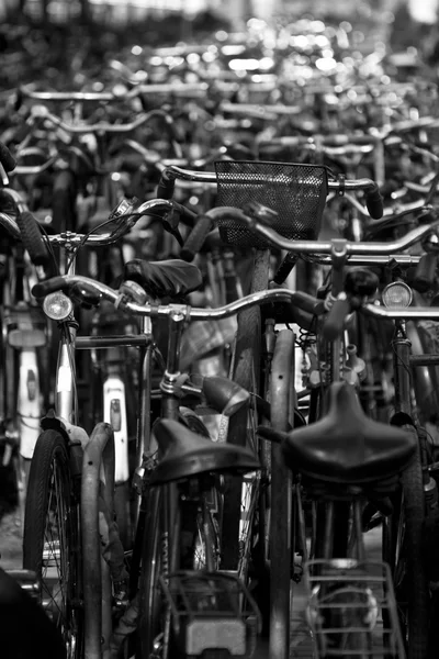 Beaucoup de vélos à Amsterdam — Photo