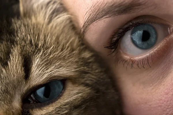 İnsanlar ve hayvanlar