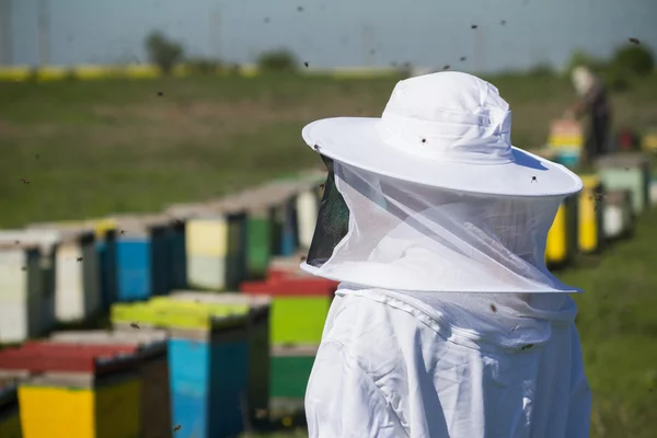 Beekeper koruma kıyafetli — Stok fotoğraf
