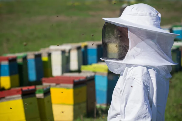 Apiarist waakt over zijn bee-hives — Stockfoto