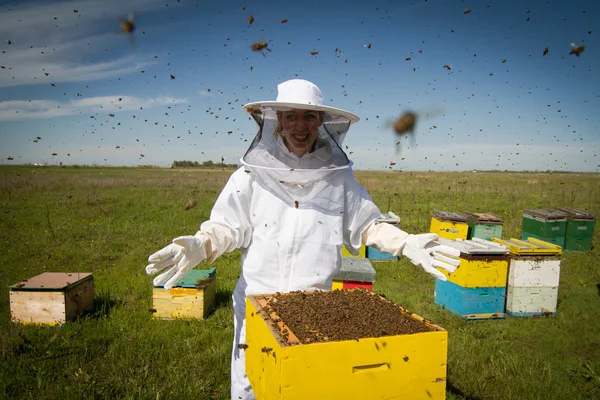 All bees are mine — Stock Photo, Image