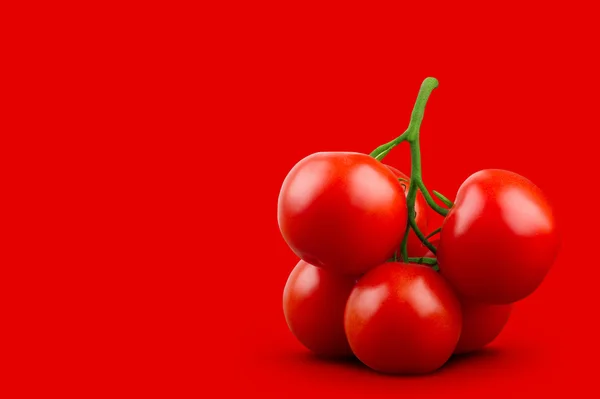 Composición mínima de tomates sobre fondo rojo — Foto de Stock