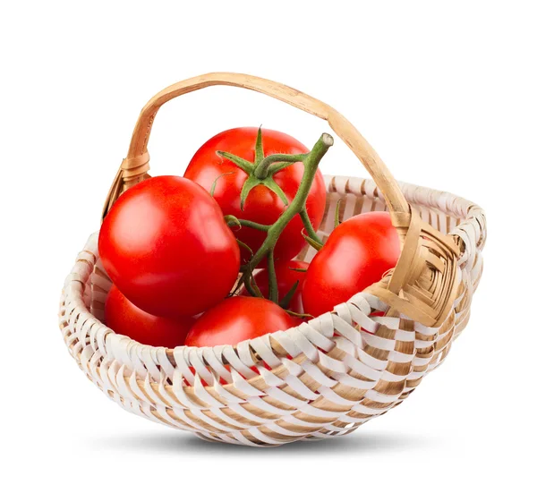 Manojo de tomates en madera cesta blanca — Foto de Stock