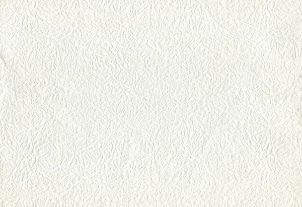 Horizontal Front View Flat White Paper Texture Embossed Ornament — Stock Photo, Image