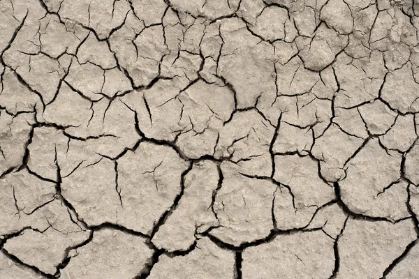 Тріснута коричнева земля в пустелі — стокове фото
