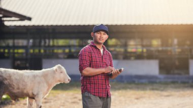 Agriculture industry cattle farming, Smart farmer use technology tablet for livestock and husbandry control. Portrait Asian man with small calf in farm.