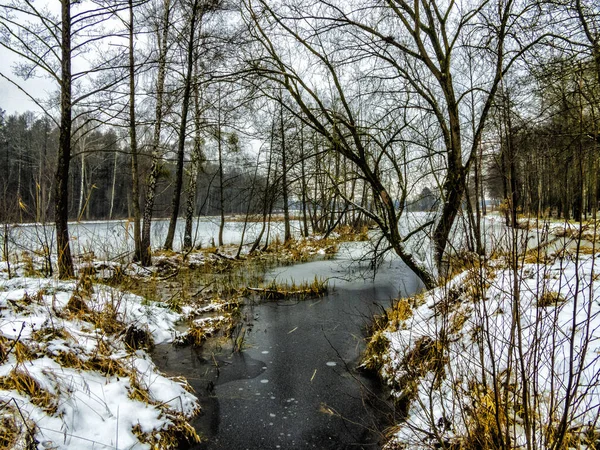 Zima nad jeziorem w Blachowni
