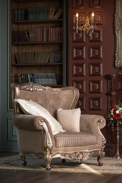 İç Odalar yumuşak koltuk ve kütüphaneler