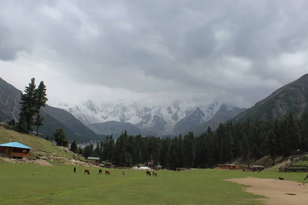 Yazın güzel manzara, Pakistan Karakoram Otoyolu