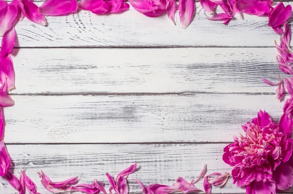 Kuşburnu eski bir gemide yatıyor. Yakın çekim. Ülke. Natürmort.