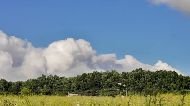 Time Lapse. Le nuvole galleggiano sul campo e sulla casa . — Video Stock