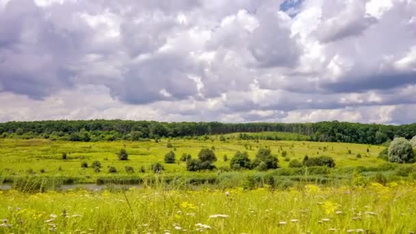 Time Lapse. Nuvens flutuam sobre o campo, floresta e rio. Verão . — Vídeo de Stock