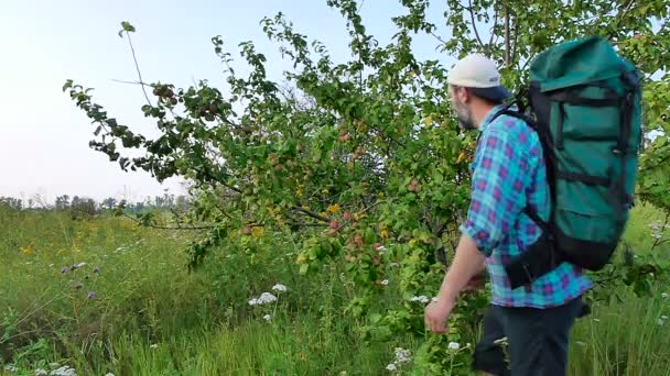 Sakallı bir adam ile bir elma koparıp ve yeme bir sırt çantası — Stok video