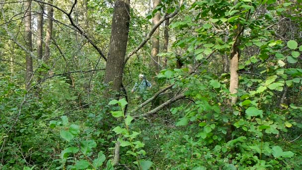 A bearded man with a backpack bursting through the bushes — Stock Video