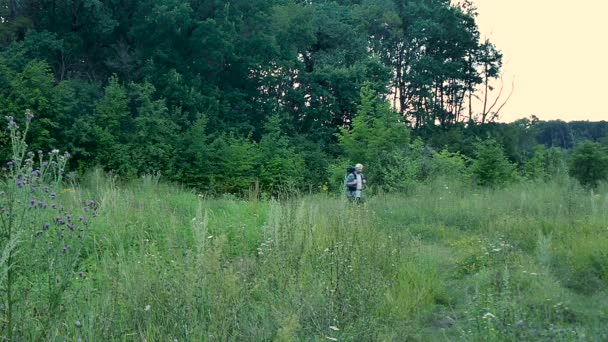 Sakallı bir adam bir orman glade üzerinde yürüyen bir sırt çantası ile — Stok video