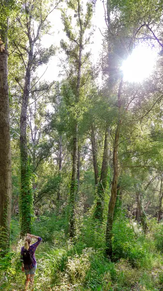 Kız Iin seyir yüksek ağaçları orman