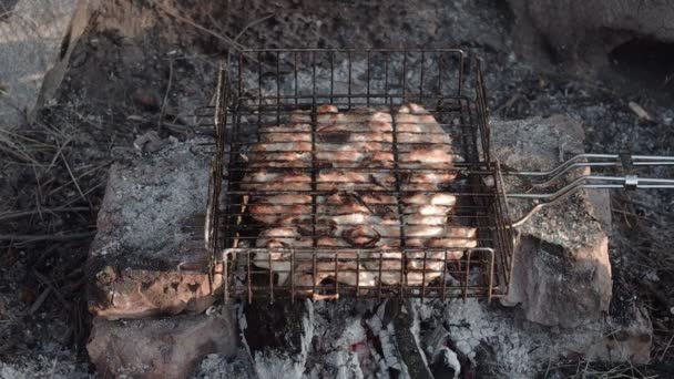 Барбекю с вкусным мясом на гриле — стоковое видео