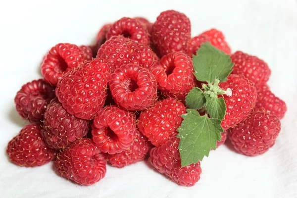 Raspberry — Stock Photo, Image