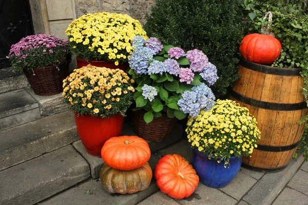 カボチャと色とりどりの花の秋の組成 ロイヤリティフリーのストック画像