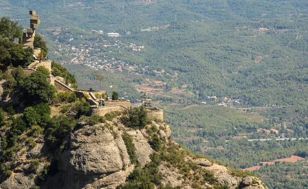 Kenarında oturan Dog