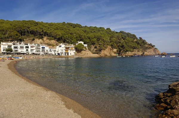 Tamariu beach, Palafrugell, Costa Brava, Girona, Katalonya, İspanya — Stok fotoğraf