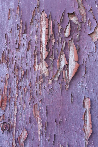 Restes de peinture sur vieux bois, violet, lilas , — Photo