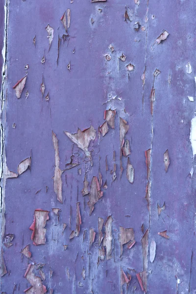 Farbreste auf altem Holz, violett, lila, — Stockfoto