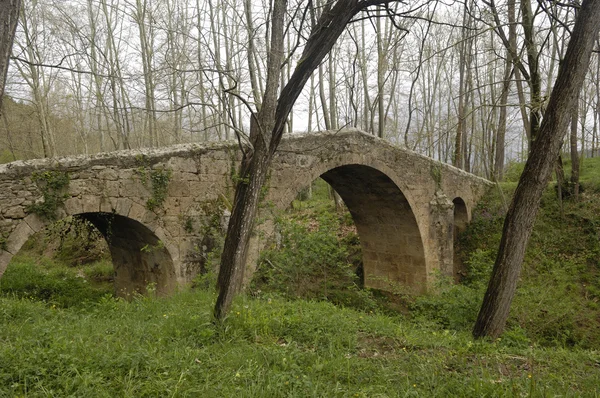 Ponte medieval de Sant Miquel de Campmajor, Pla de l Estany, Girona, Espanha — Fotografia de Stock