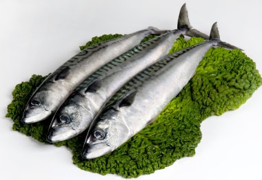 bir yaprak sebze üzerinde uskumru