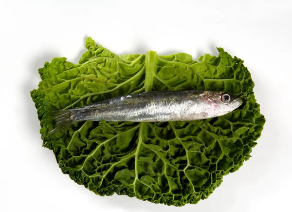 Sardin på en bladgrönsak — Stockfoto
