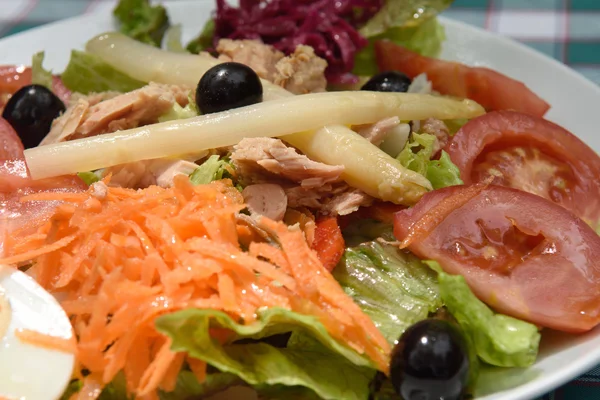 Salat mit Karotten und Gemüse — Stockfoto