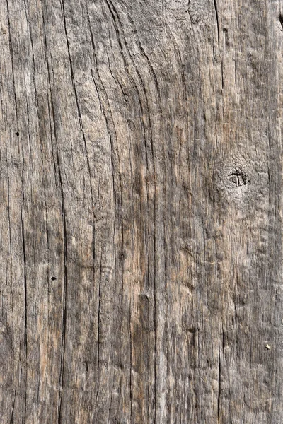 Eski bir ahşap açık havada dokusuna