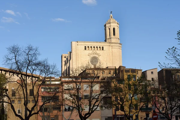 Kathedrale und unyar Häuser in Girona, Katalonien, Spanien — Stockfoto