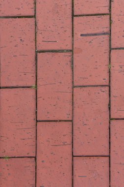 Pişmiş toprak zeminine yakın çekim