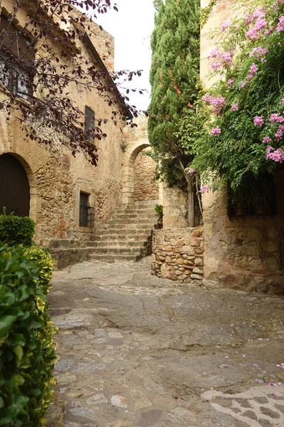 中世纪帕尔斯村旧城的街道和拱门 吉罗纳省 加泰罗尼亚 西班牙 — 图库照片
