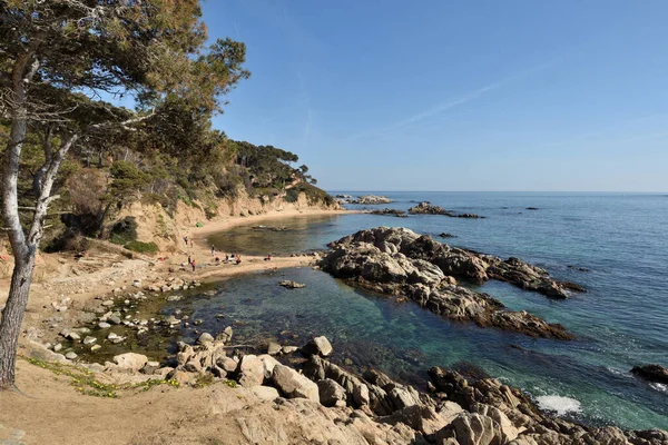 Cala Estreta Beach Palamos Costa Brava Girona Provincia Cataluña España —  Fotos de Stock