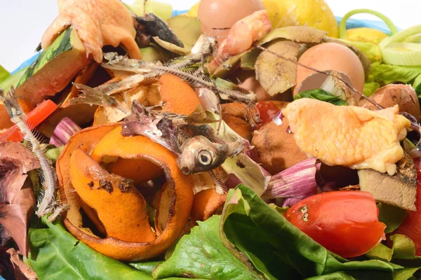 Avanzi Carne Verdura Frutta Pesce Compost — Foto Stock