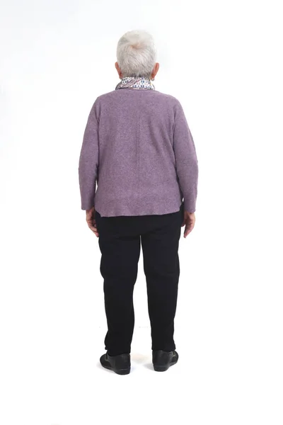 Beyaz Arka Planda Yaşlı Bir Kadının Dikiz Görüntüsü — Stok fotoğraf