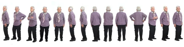 Большая Группа Пожилых Женщин Белом Фоне — стоковое фото