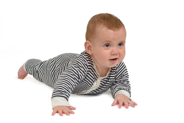 宝宝爬在地板上 期待着白色的背景 — 图库照片