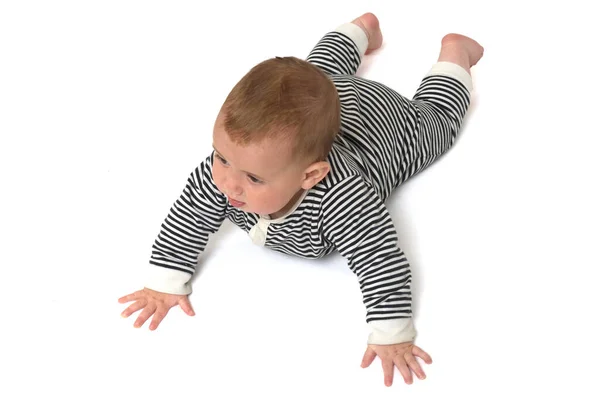 在白色背景下爬在地板上的婴儿的头像 — 图库照片